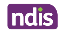 The nds logo is purple and white with a green circle in the middle.