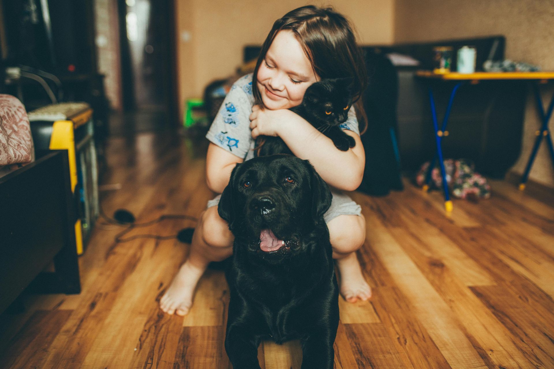 dog with child hugging cat