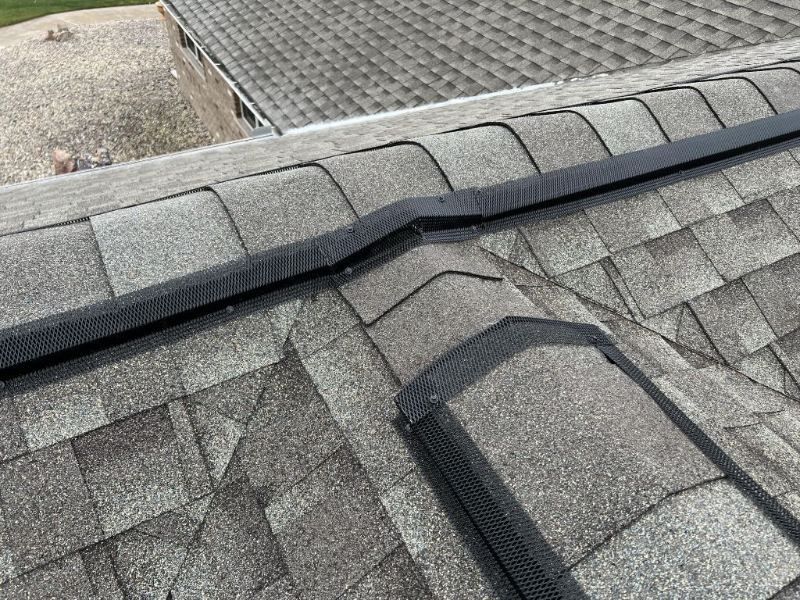 Bat Exclusion Services by Downriver Pest Control