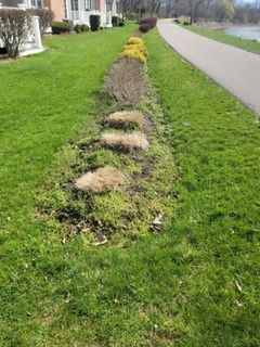 residential landscaping