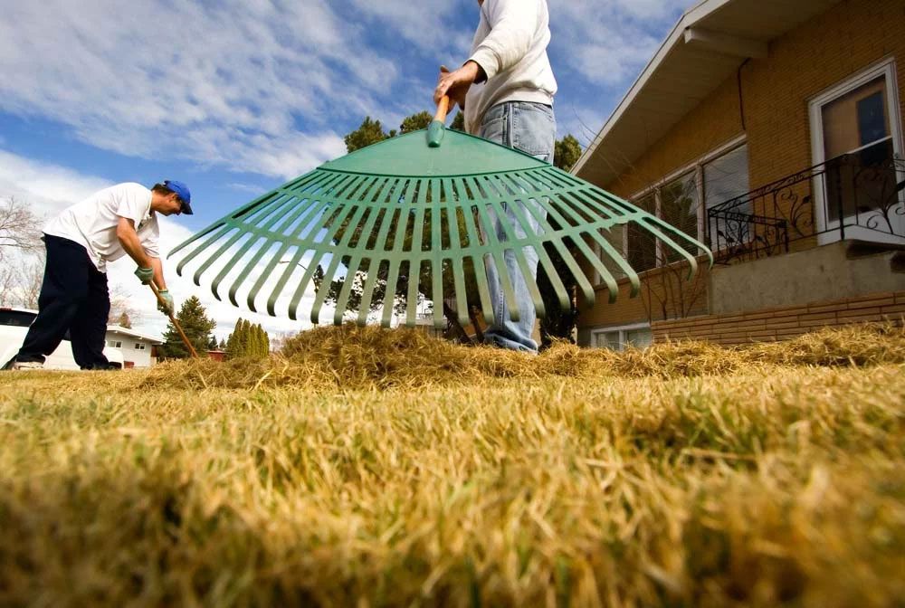 close up of someone raking the lawn