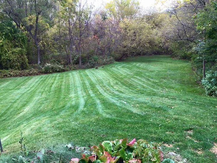 residential lawn care