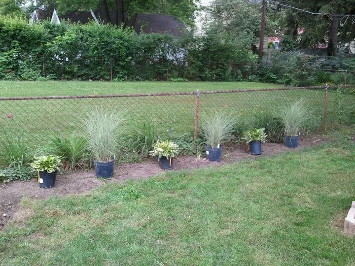 residential lawn care