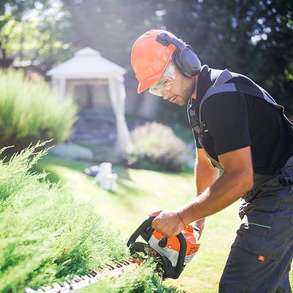 employee trimming bushes for retaining wall