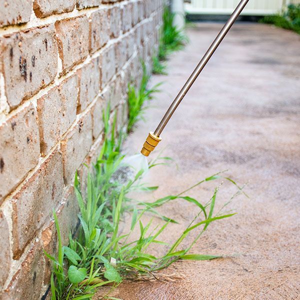 spraying weeds between sdiewalk and brick wall