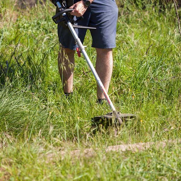 close up of employee using tool to remove leaves