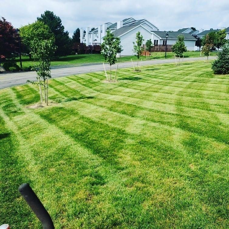 residential lawn care