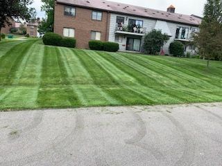 beautifully mowed residential lawn