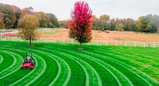 residential lawn care