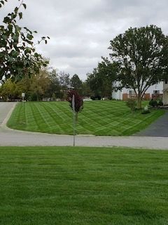 residential lawn