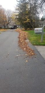 residential lawn care and landscaping