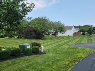 residential lawn care and landscaping