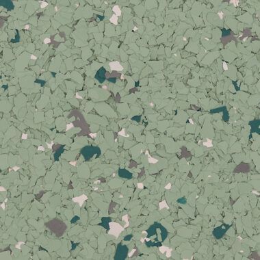 Sedum