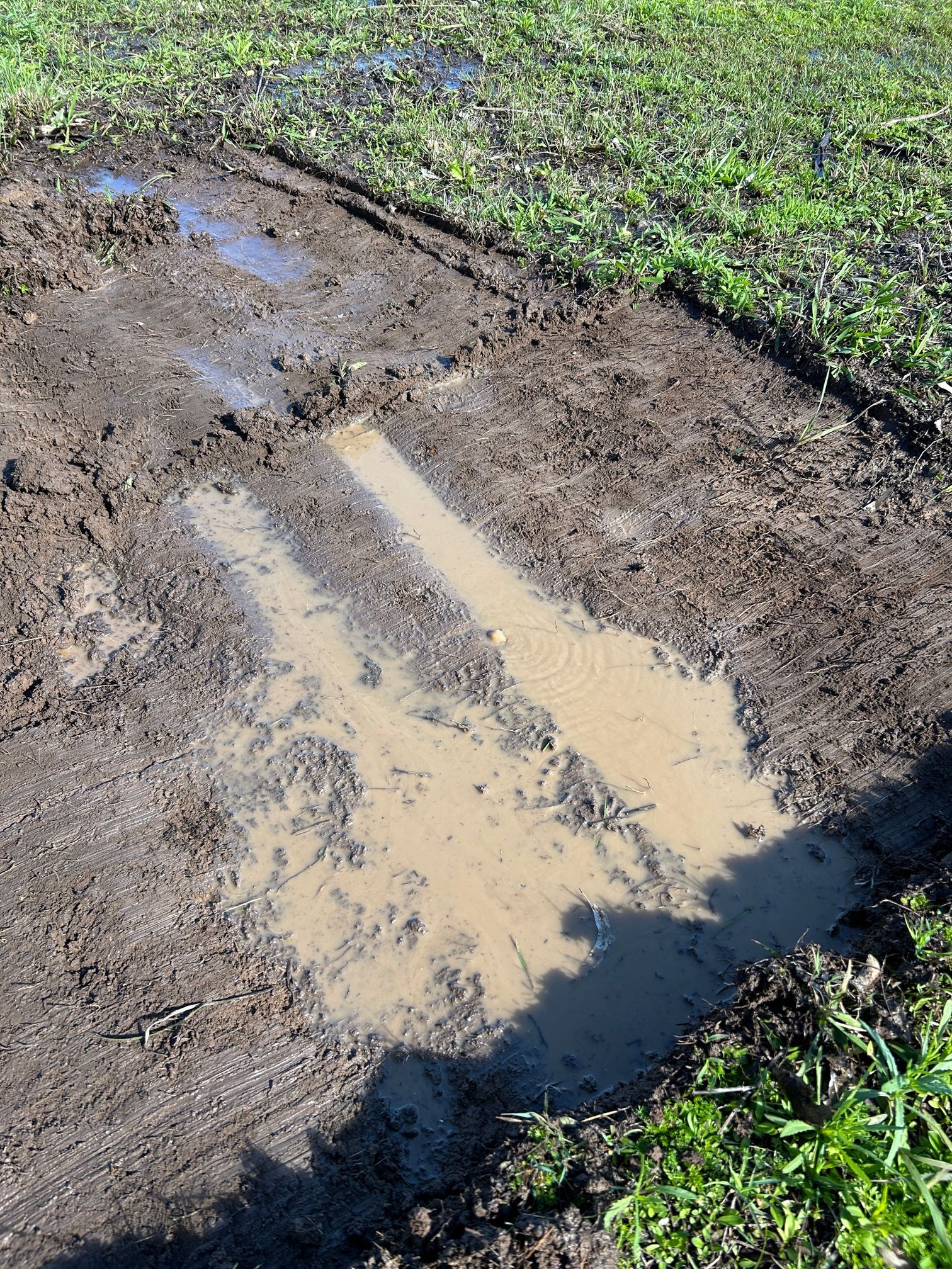 Mud-filled tyre tracks in a dirt path beside green grass. — Huddo's Plumbing Service in Wallalong, NSW