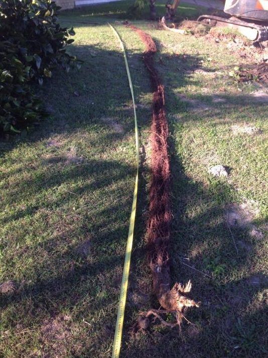 Long Green Hose Laid Beside A Narrow Dug Trench In A Grassy Yard — Huddo's Plumbing Service in Wallalong, NSW