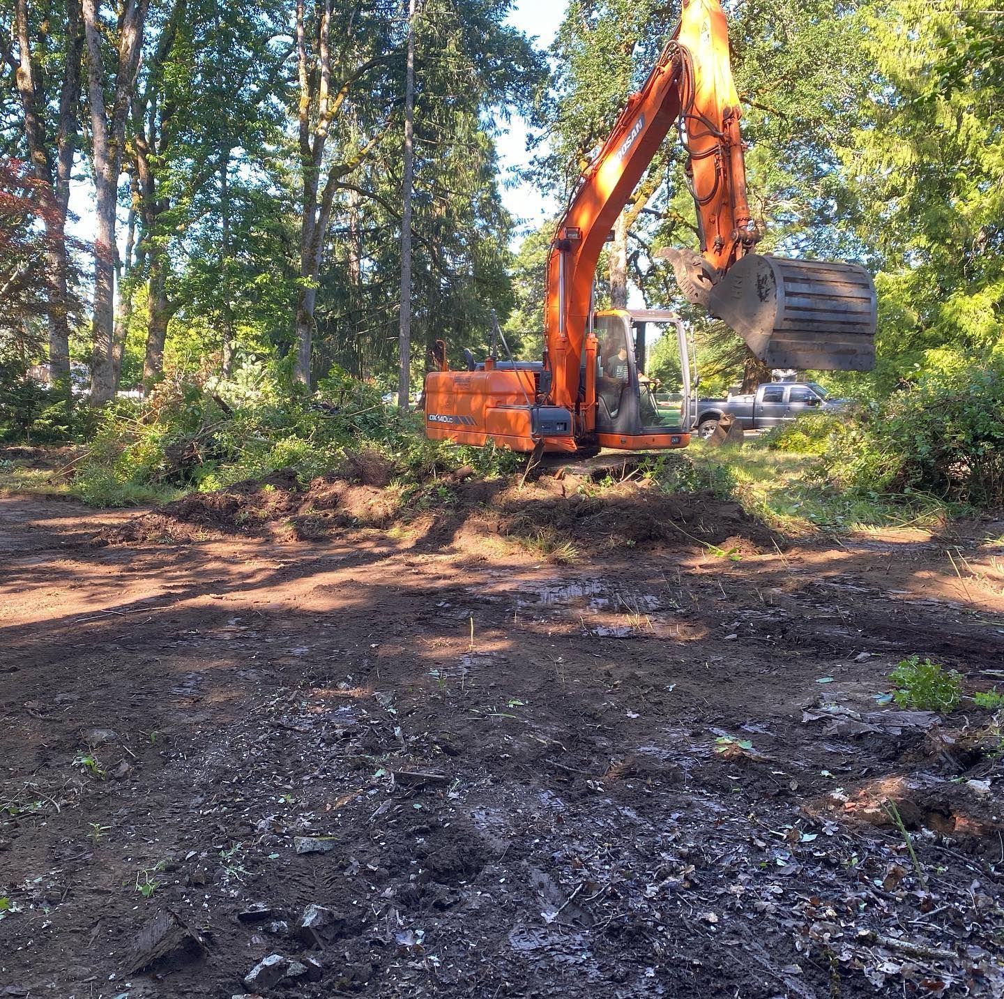 Orange excavator clearing a wooded dirt lot beside a small building