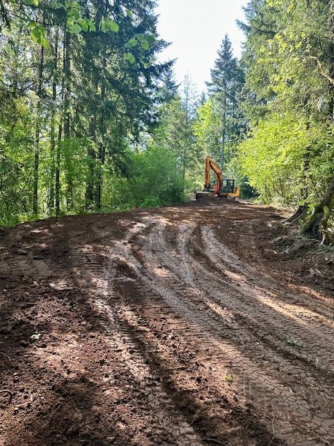 Dirt road through a forest, with an excavator in the distance under bright sunlight.