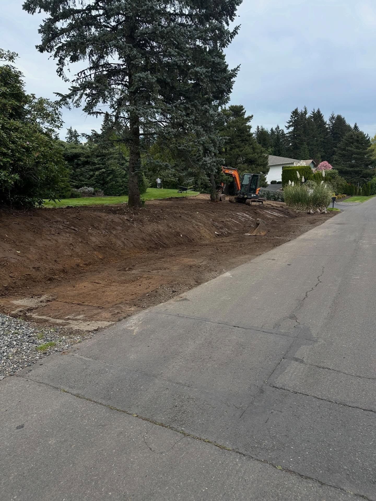 Worker operating an excavator beside a paved road next to a cleared dirt lot and trees