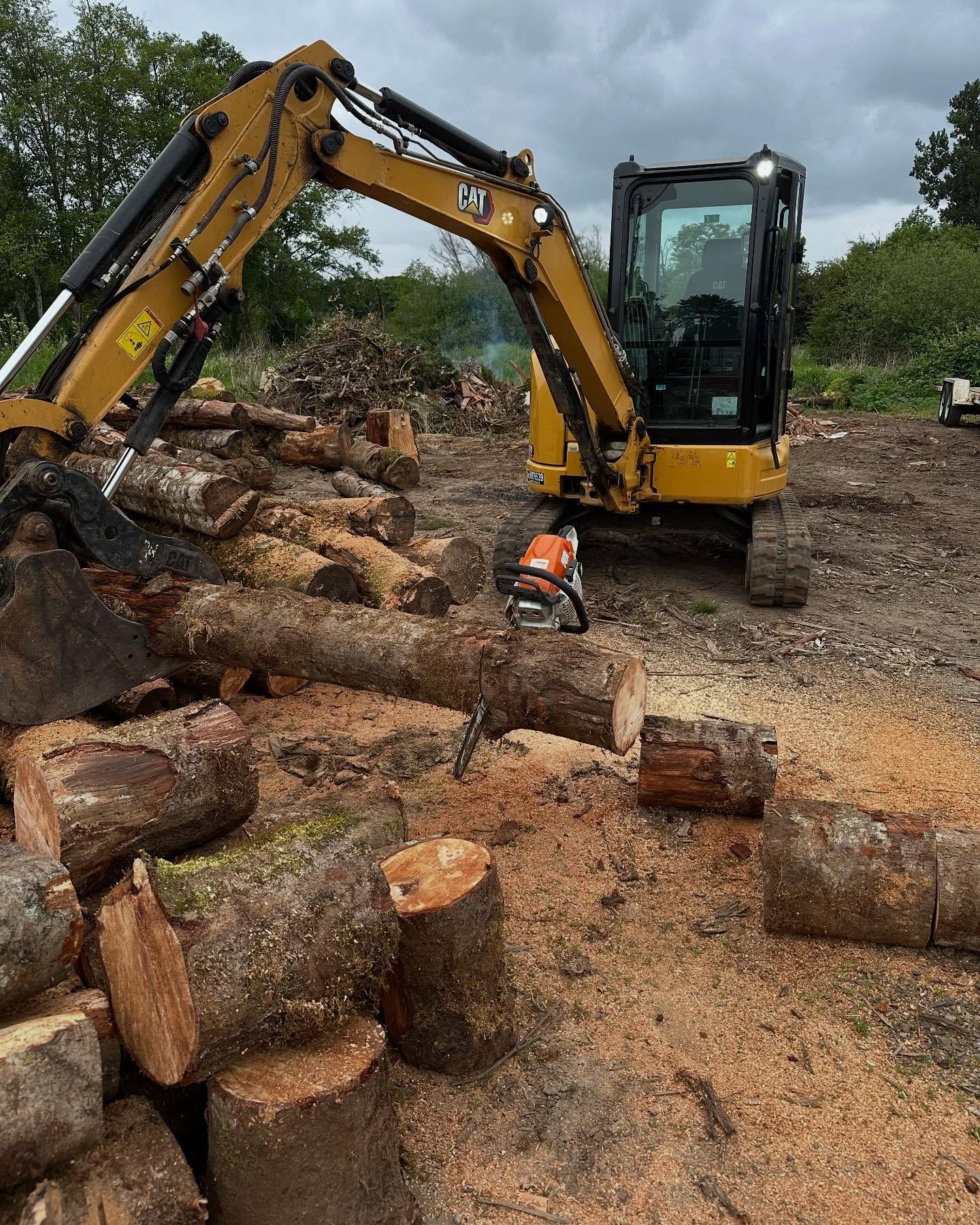 Yellow excavator loading cut logs in a muddy timber yard under cloudy skies