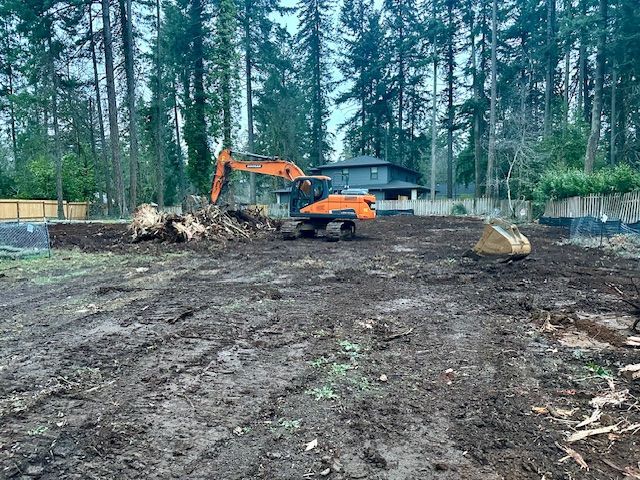 Orange excavator clearing a muddy lot beside tall trees and a small building