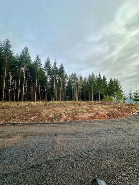 Gravel road beside a cleared forest edge under a cloudy sky