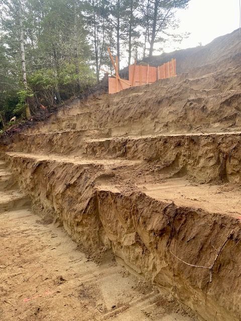 Steep dirt hillside with carved steps and orange safety fencing beside trees