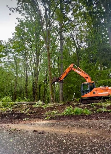 Orange excavator working in a muddy wooded area near a road