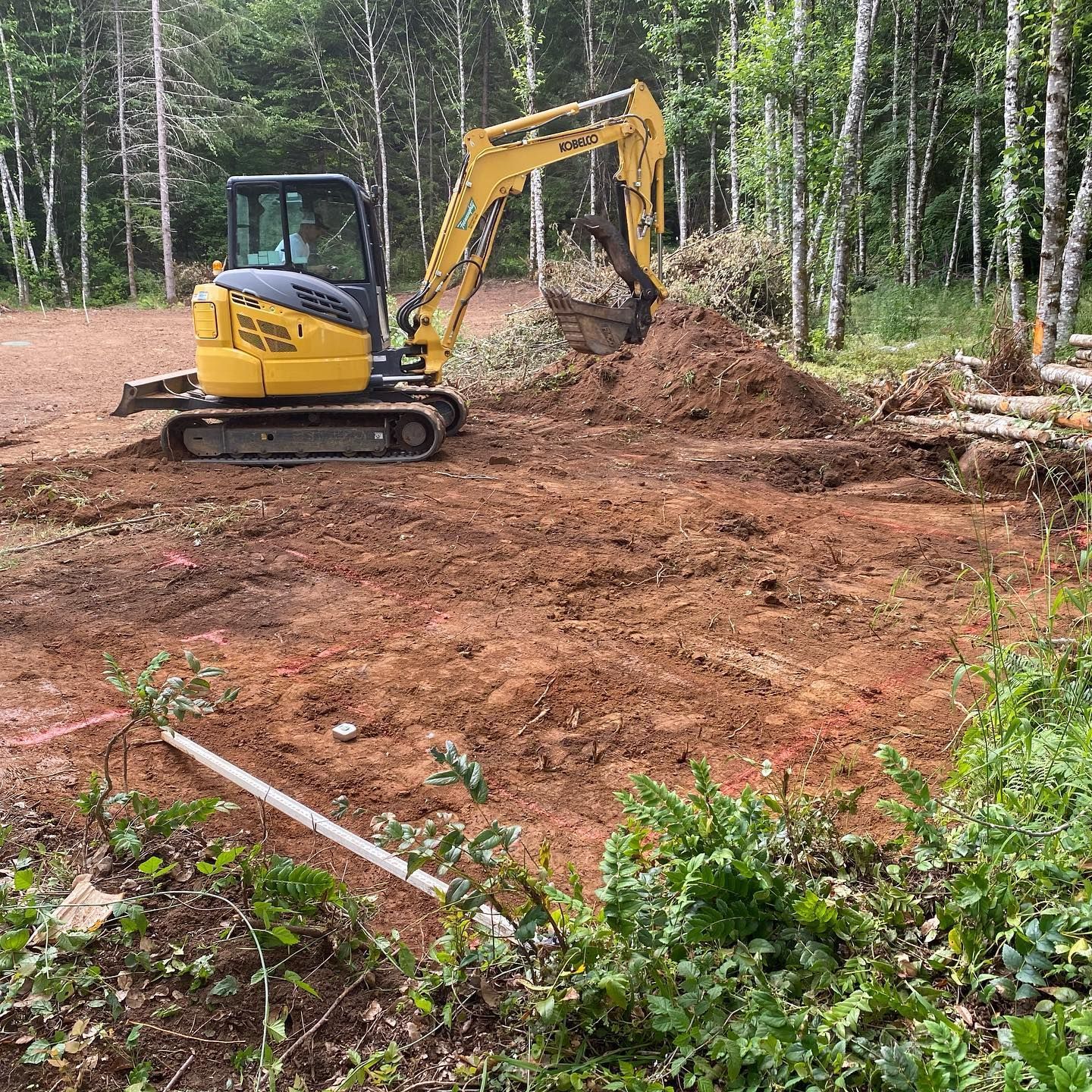 Yellow excavator clearing dirt in a wooded clearing beside birch trees