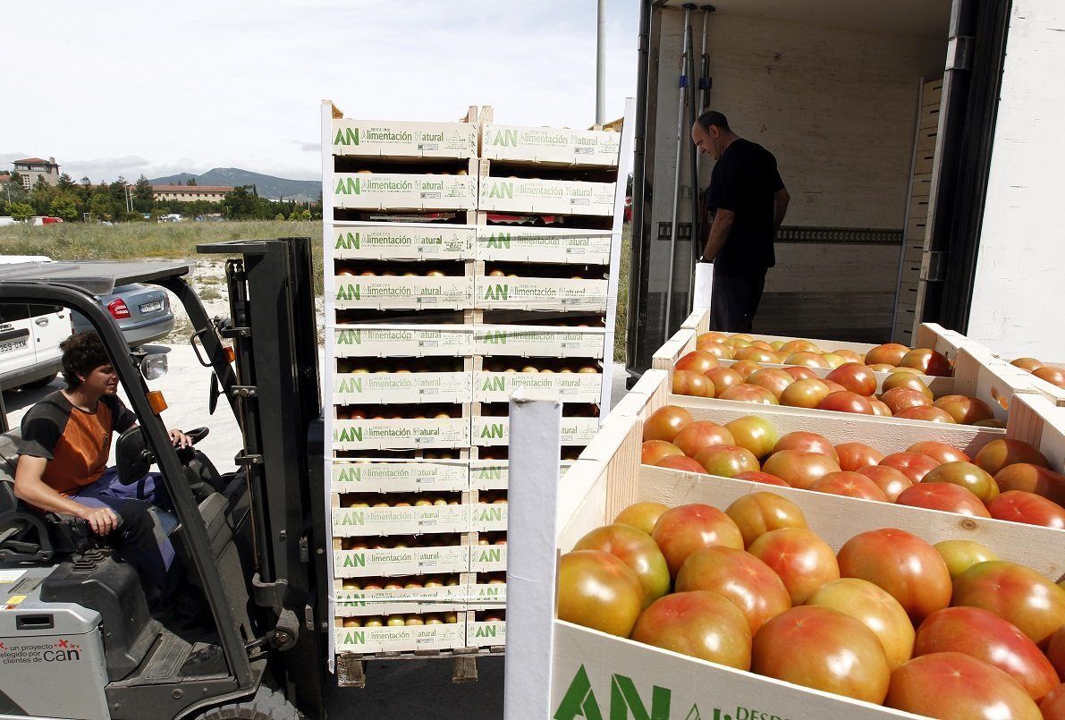 Un operario de montacargas mueve una pila alta de cajas llenas de tomates cerca de un camión que está siendo cargado.