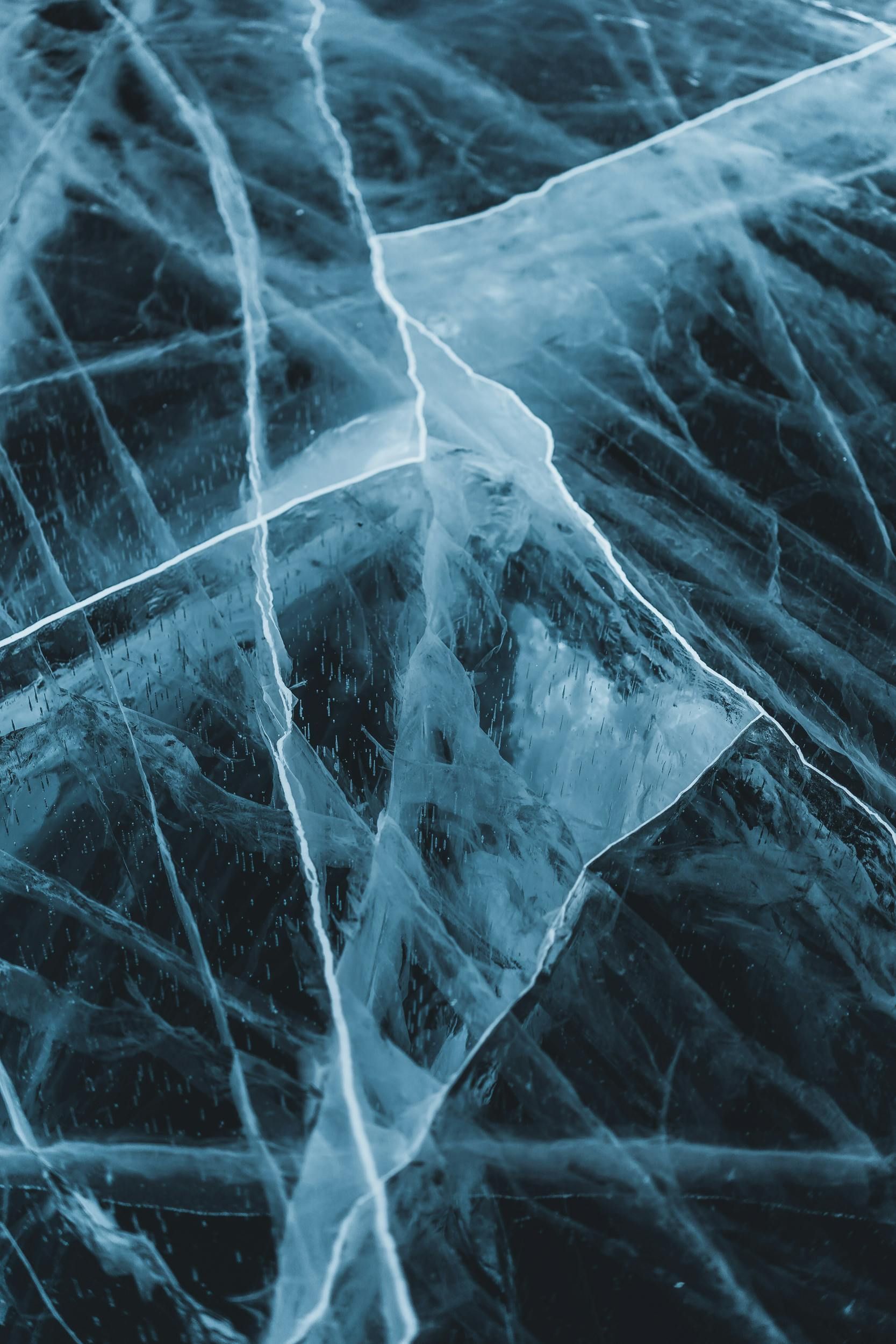 A close up of a piece of ice that looks like a spider web.