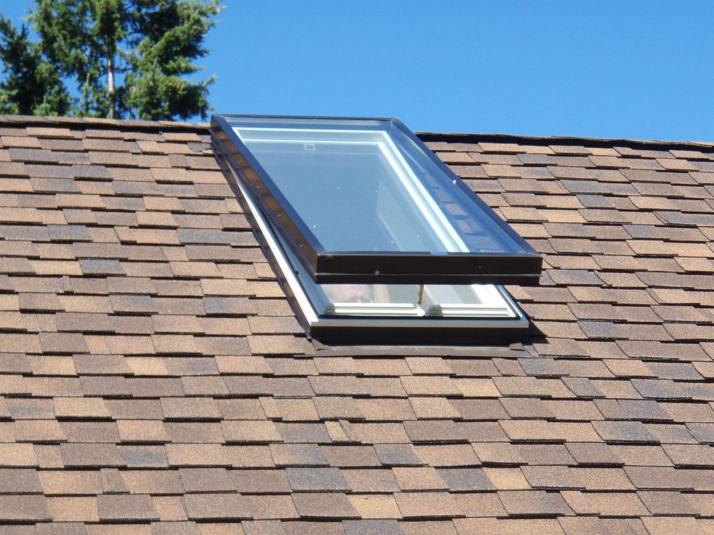 A skylight on a roof with a tree in the background