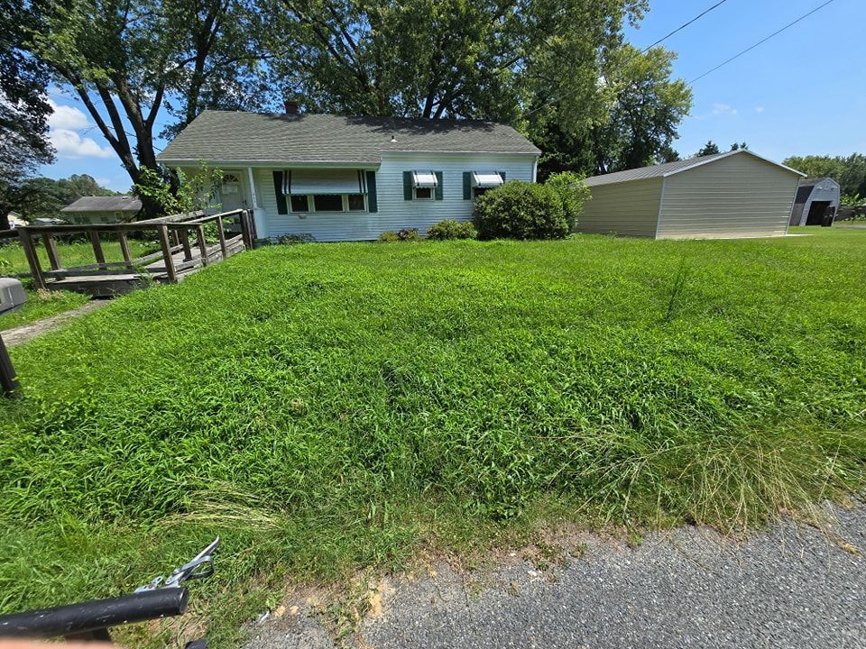 A white house is sitting on top of a lush green hill.