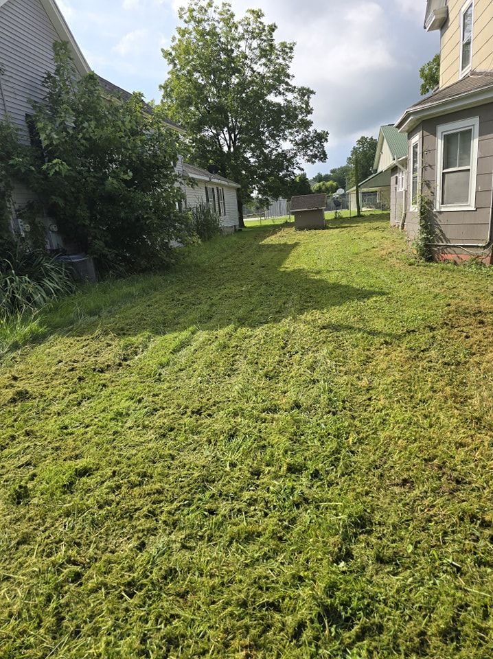 A yard with a lot of grass and a house in the background.
