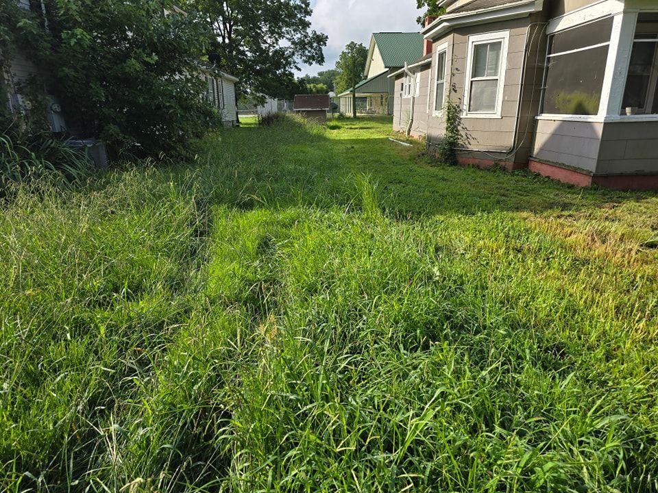 A lush green yard with a house in the background.