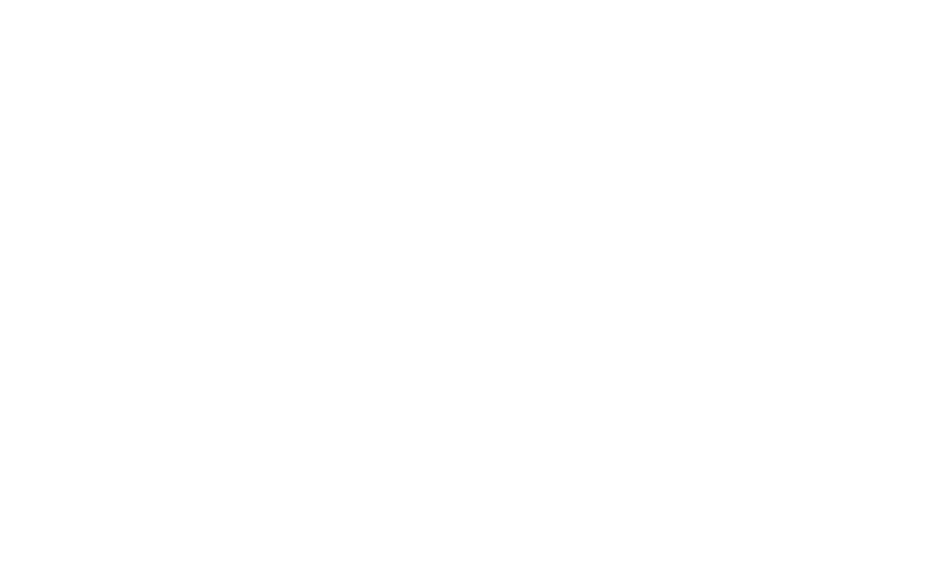 LM Renovations