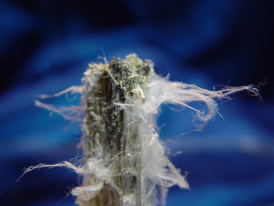 Detailed asbestos inspection to augment health risks