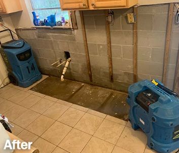 Aqua Periit Restoration, mold remediation Dallas, mold inspection Dallas, mold removal Dallas mold after