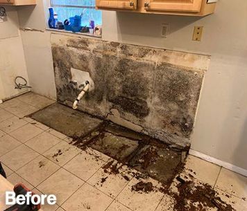 Aqua Periit Restoration, mold remediation Dallas, mold inspection Dallas, mold removal Dallas, Mold Before