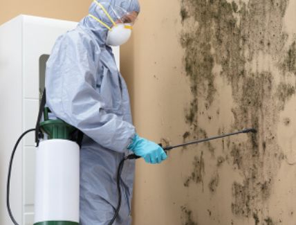 Aqua Periit Restoration, mold remediation Dallas, mold inspection Dallas, mold removal Dallas 