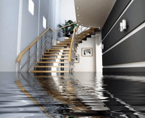 Aqua Periit Restoration, water damage restoration mckinney, restore mckinney