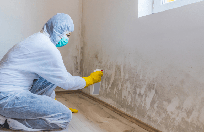 Aqua Periit Restoration Mold Remediation Services, mold inspection dallas, mold removal dallas,
