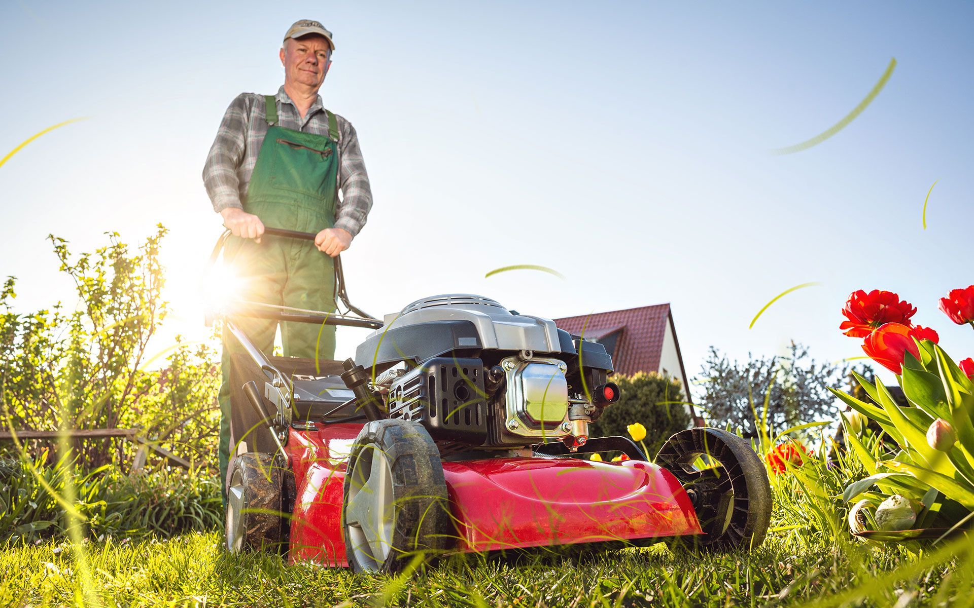 Man in green overalls pushing a red lawnmower on a sunny day, tulips in the foreground.