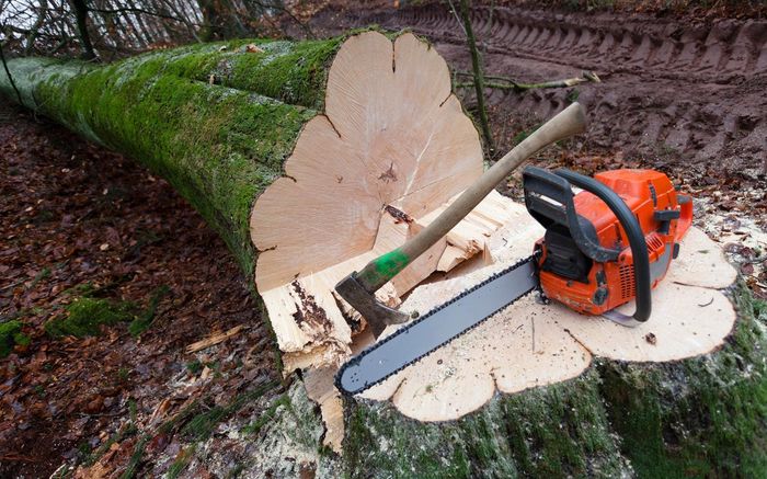 A chainsaw is sitting on top of a tree stump. A chainsaw is sitting on top of a tree stump.