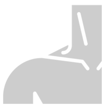 Spalla