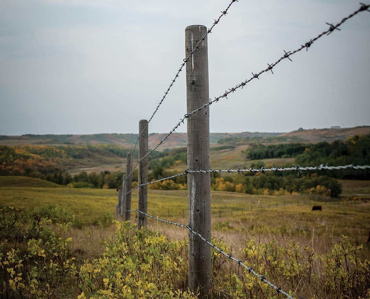 There is a barbed wire fence in the middle of a field.