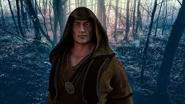 A person in a hooded brown cloak stands in a forest with dappled light filtering through the trees.