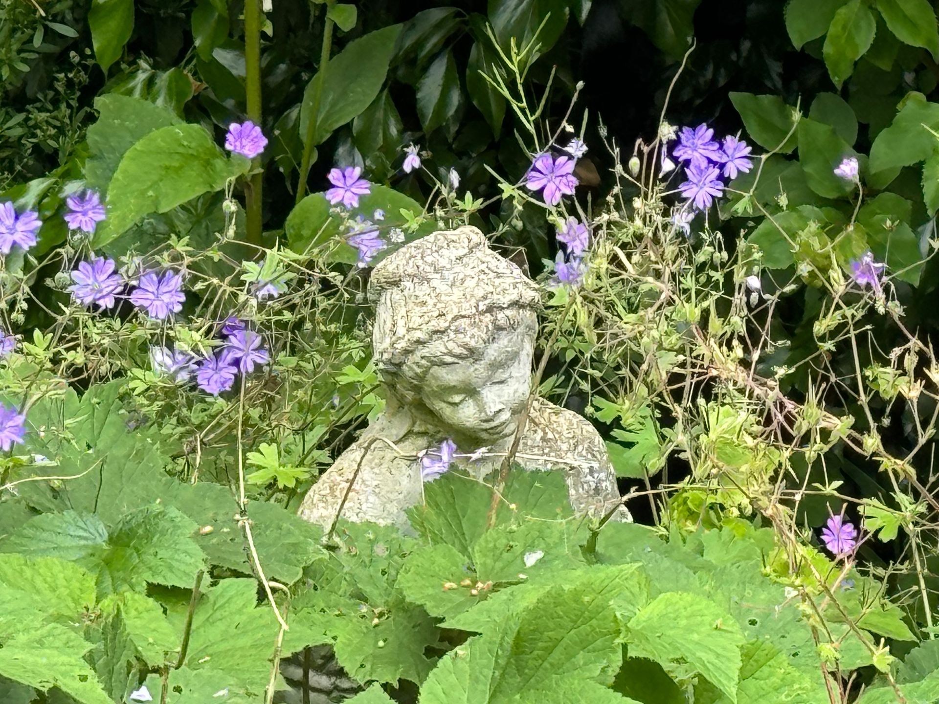 A stone statue of a contemplative figure tucked amongst green foliage and blooming purple flowers in a garden.