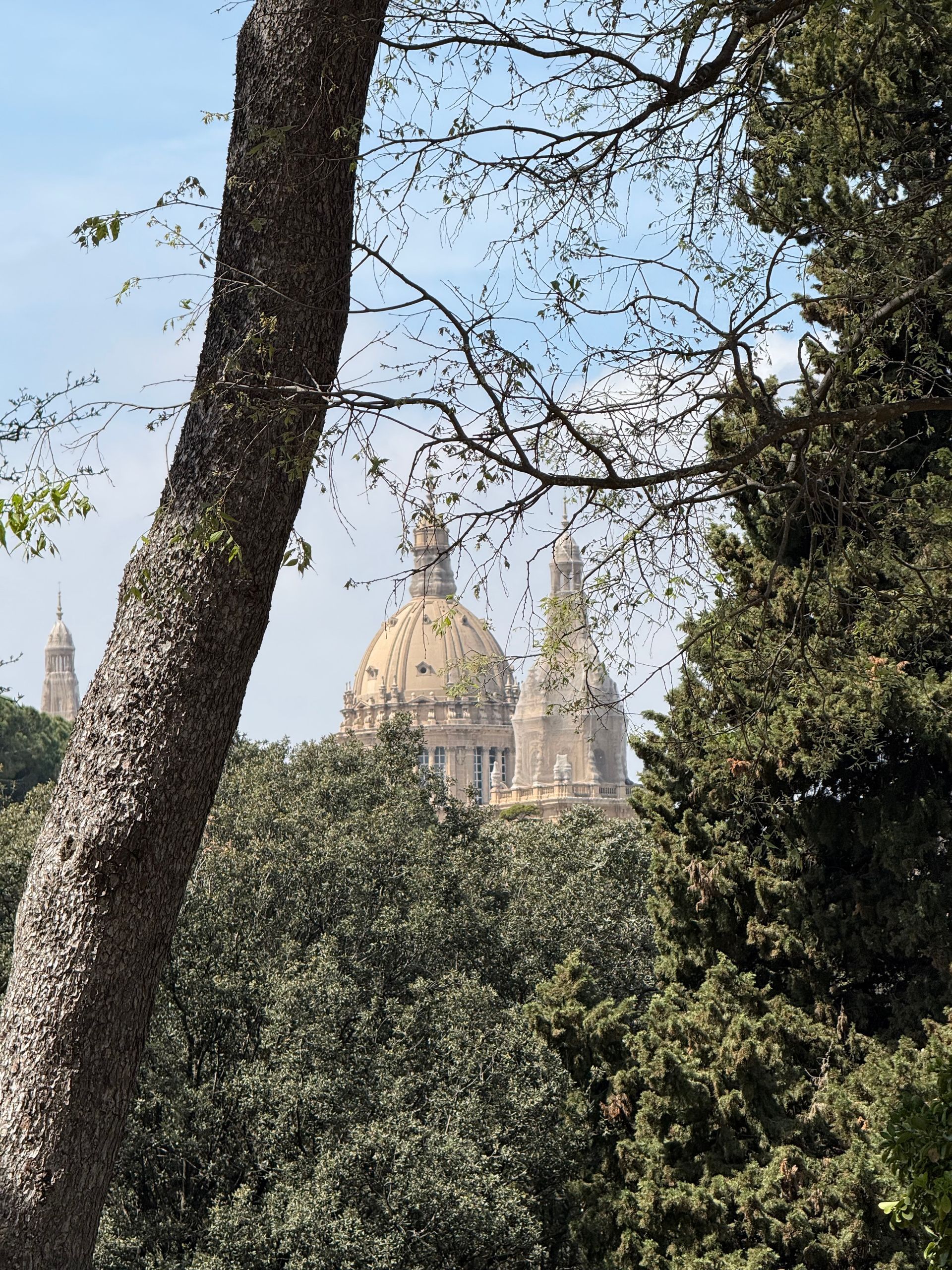 The domed roof and towers of an ornate building rise above a dense, leafy forest canopy under a clear, bright sky.