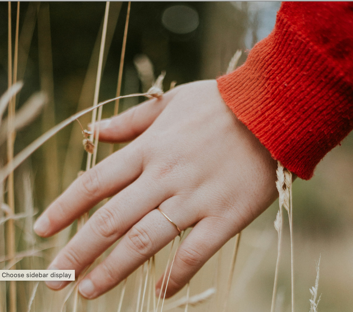 A hand wearing a thin gold ring gently brushes through tall, dry grass, wearing a bright red sweater sleeve.
