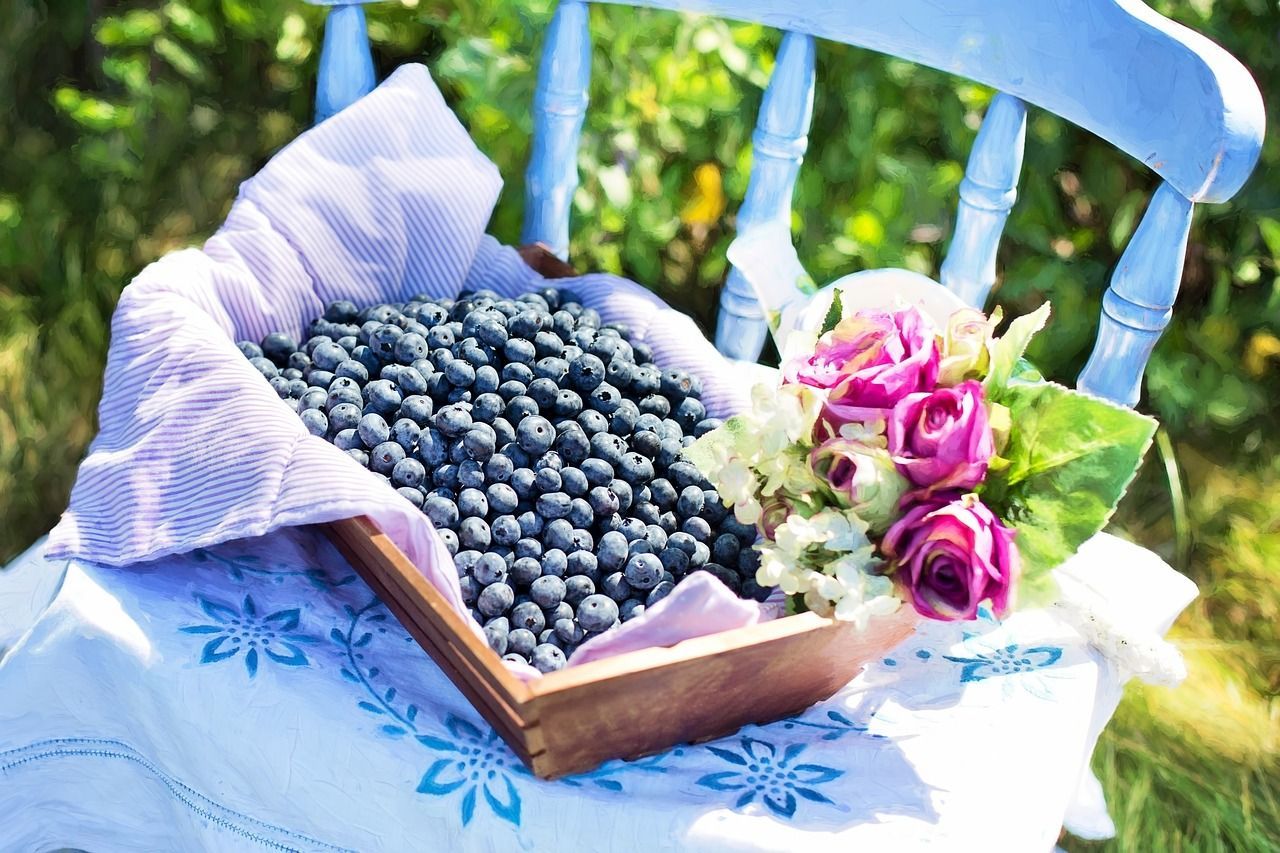 A wooden crate full of fresh blueberries sits on a white floral cloth on a light blue chair, decorated with pink roses.
